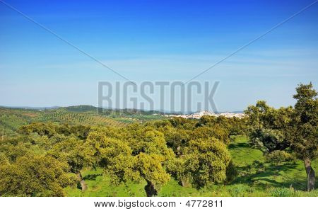 Les Středozemního moře.