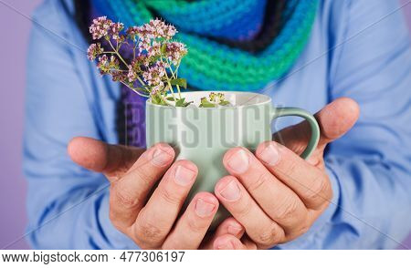 Man With Medicine Tea. Mug With Herbal Tea In Man Hand. Herbal Tea From Wild Marjoram Oregano Medica