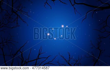 Vector Illustration Of Constellation Mensa On The Background Of A Starry Sky And Tree Branches. Cons