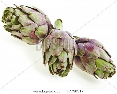 tuore artisokka eristetty valkoisella taustalla