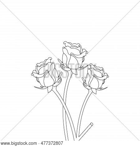 Rose Flower Hand Drawn Coloring Page With Decorative Style Line Art Vector Design