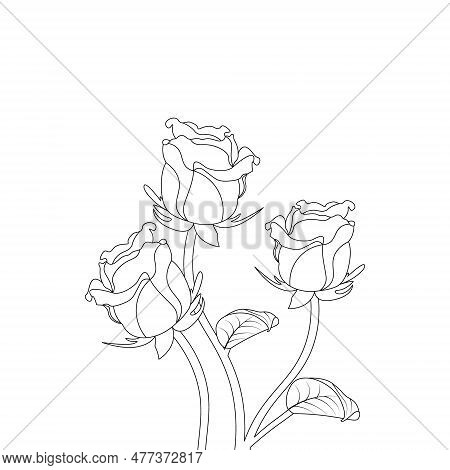Rose Flower Hand Drawn Coloring Page With Decorative Style Line Art Vector Design