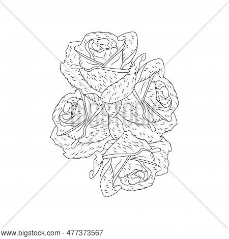 Rose Flower Hand Drawn Coloring Page With Decorative Style Line Art Vector Design