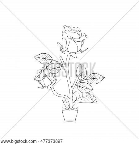 Rose Flower Hand Drawn Coloring Page With Decorative Style Line Art Vector Design