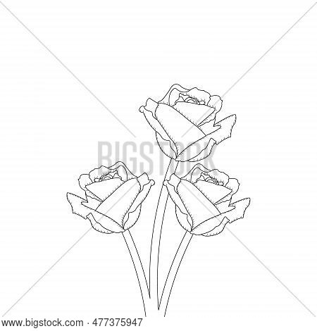 Rose Flower Hand Drawn Coloring Page With Decorative Style Line Art Vector Design