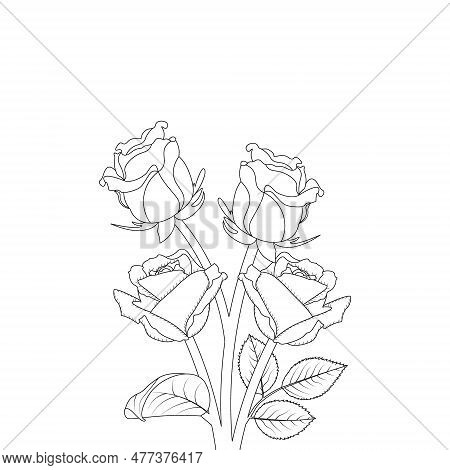 Rose Flower Hand Drawn Coloring Page With Decorative Style Line Art Vector Design