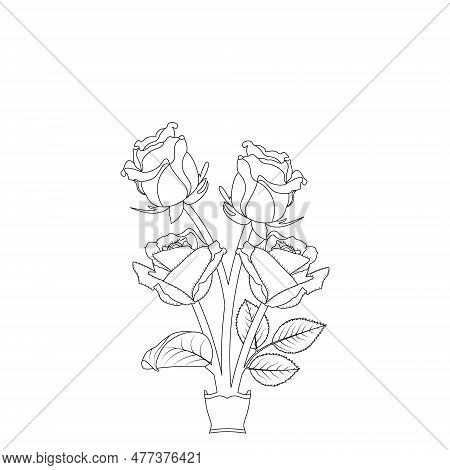 Rose Flower Hand Drawn Coloring Page With Decorative Style Line Art Vector Design