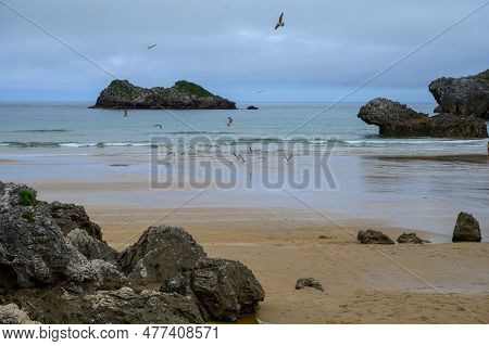 View On Playa De Palombina Las Camaras In Celorio, Green Coast Of Asturias, North Spain With Sandy B