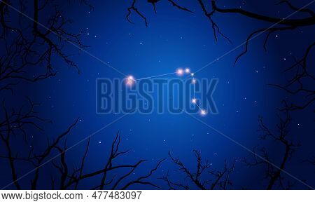 Vector Illustration Of Constellation Horologium On The Background Of A Starry Sky And Tree Branches.