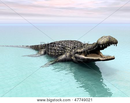 Krokodille