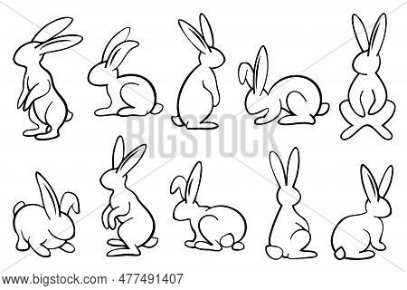 Line Art Bunnies Illustration Set. Cute Rabbits With Black Thin Line In Different Position. Adorable