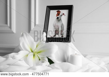 Frame With Picture Of Dog, Burning Candle And Lily Flower On White Cloth, Closeup. Pet Funeral