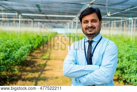 Confident Indian Banker Or Officer Standing With Crossed Arms By Looking At Camera At Greenhouse - C