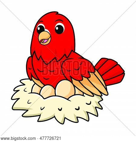 Vector Illustration Of Cute Red Suffusion Lovebird Cartoon With Eggs In The Nest