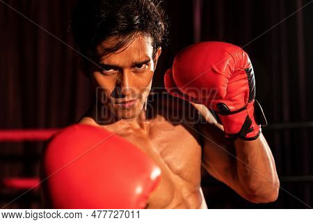 Muay Thai Boxer Punch His Fist In Front Of Camera In Ready To Fight Stance Posing At Gym With Boxing