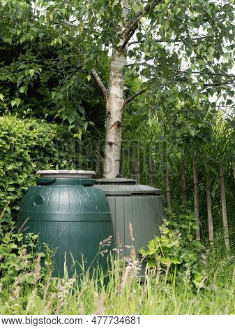 Rainwater Barrel With A Compost Barrel Next To It In A Corner Of A Garden