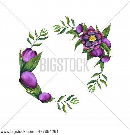 Hellebore Black. Wreath Of Watercolor Elements On A Transparent Background. Hand Drawn Flowers, Buds