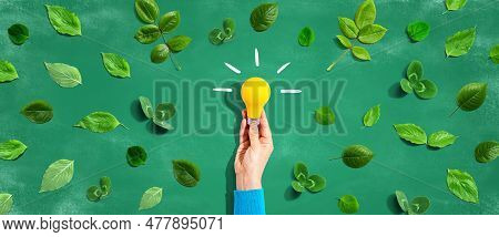 Person Holding A Light Bulb With Green Leaves