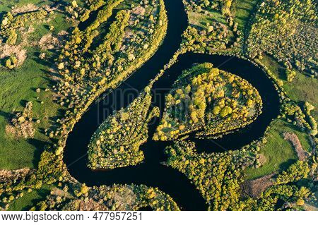Aerial View Green Forest Woods And River Landscape In Sunny Spring Summer Day. Top View Of Nature, B