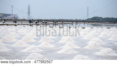 Sea Salt Farm In Thailand. Brine Salt. Raw Material Of Salt Industrial. Sodium Chloride. Evaporation