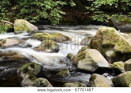 the Harz National Park