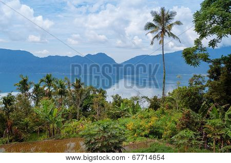 Lake Maninjau (Danau Maninjau)