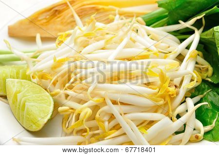 Mung Beans Or Bean Sprouts On White Plates
