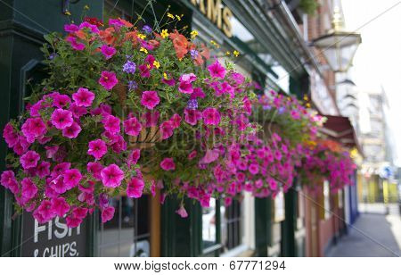 British public house flower decoration