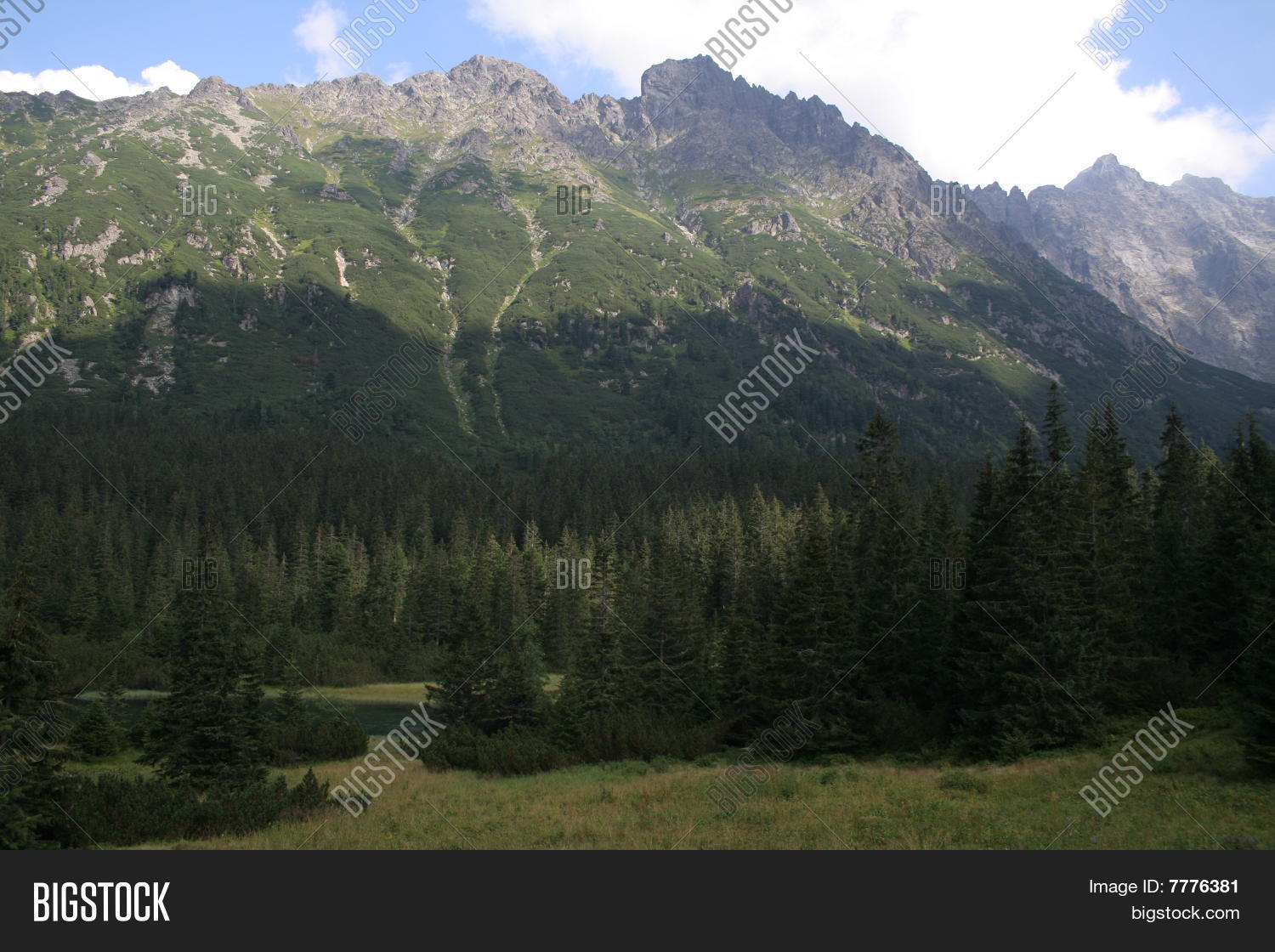 Image Preview
