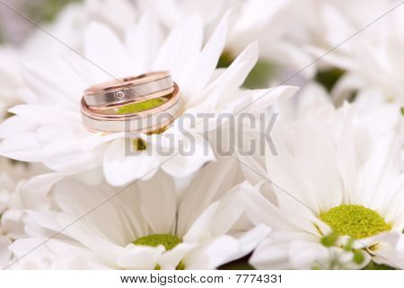 Vigselringar på krysantemum