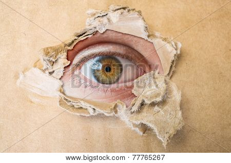 Hidden eye spying through torn hole in cardboard paper