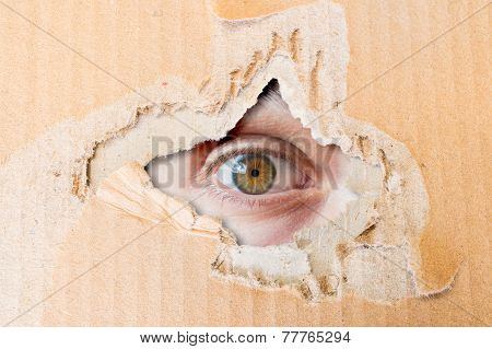 Hidden eye spying through torn hole in cardboard paper