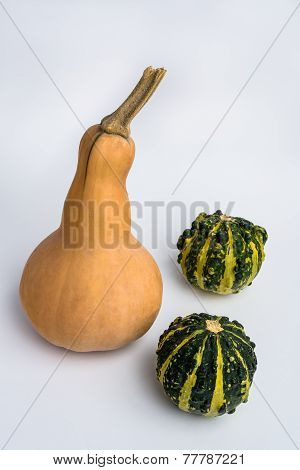 Butternut Squash With Two Decorative Pumpkins On White Background