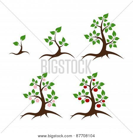 Apple Tree Vector Vector Photo Free Trial Bigstock