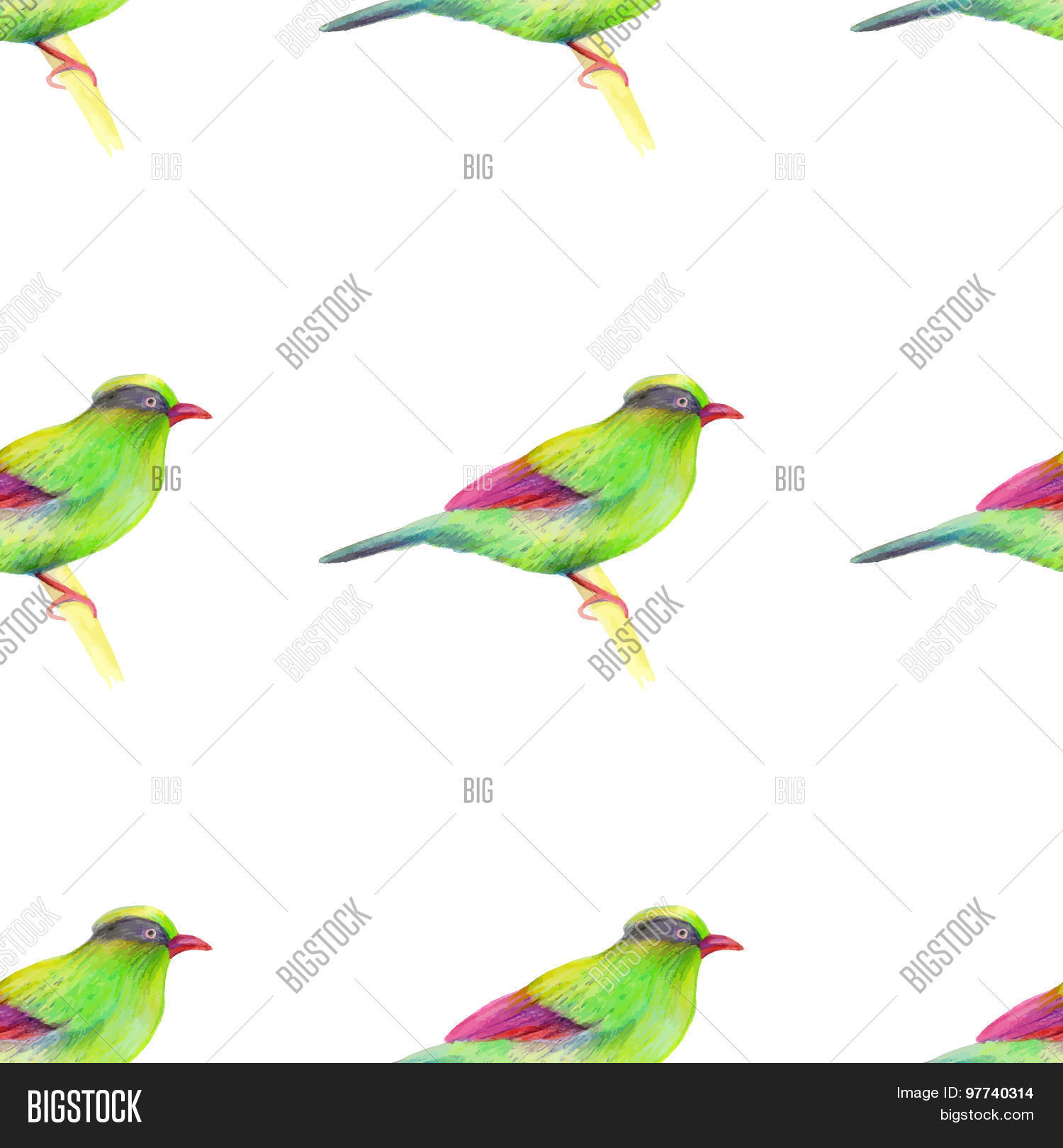 Image Preview
