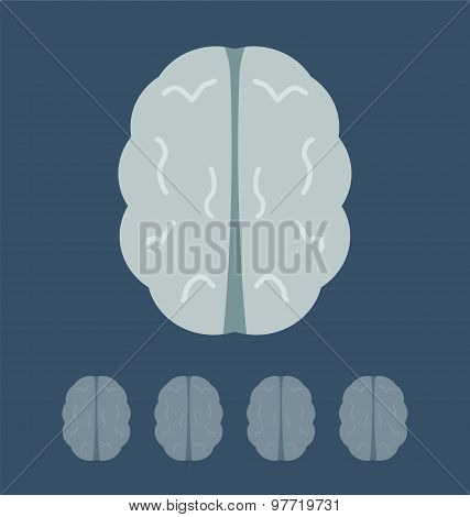 Human Brain, Medacal Icon Concept