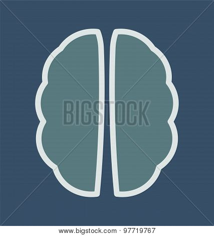 Human Brain, Medacal Icon Concept