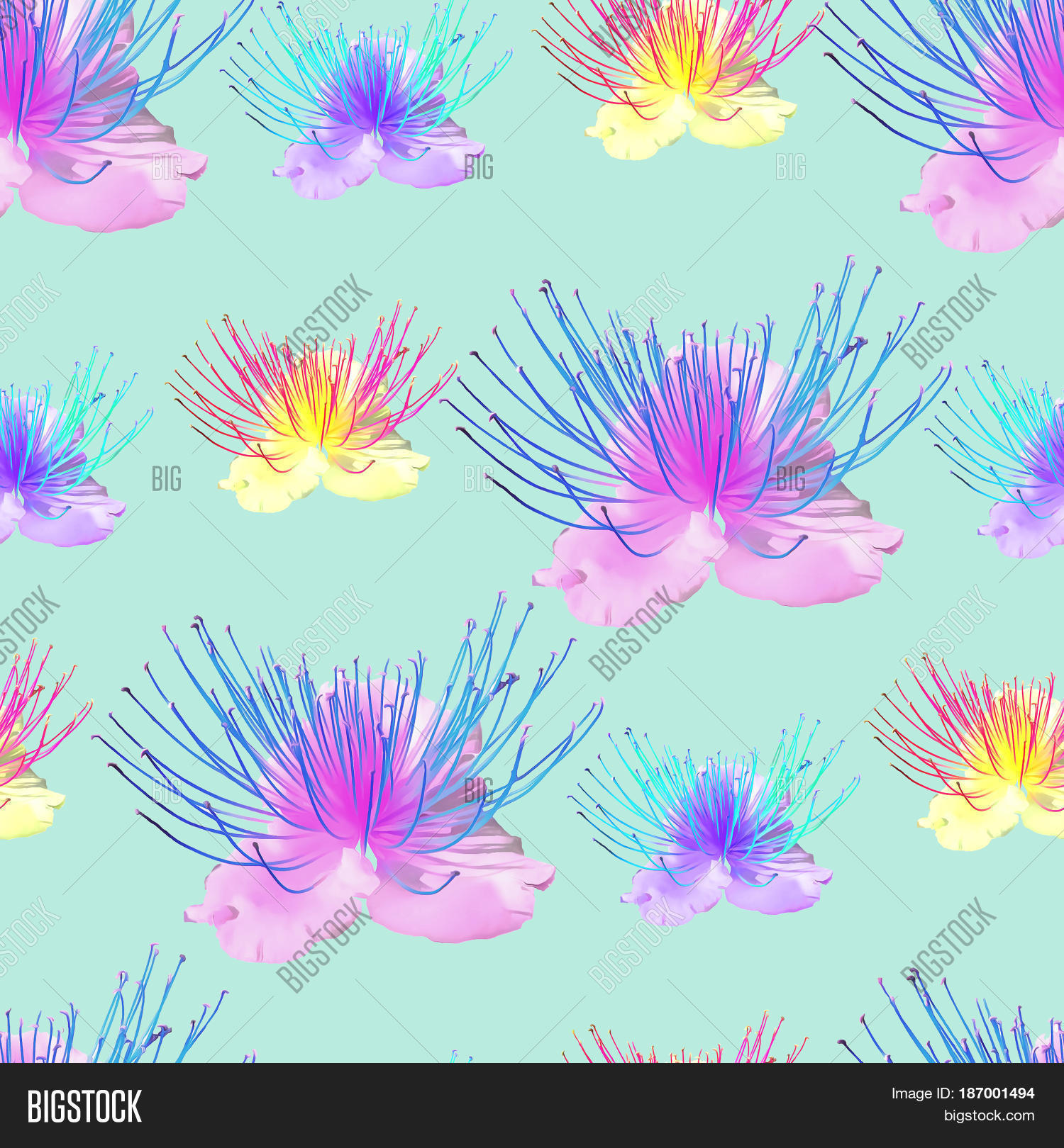 Capers. Texture Image & Photo (Free Trial) Bigstock