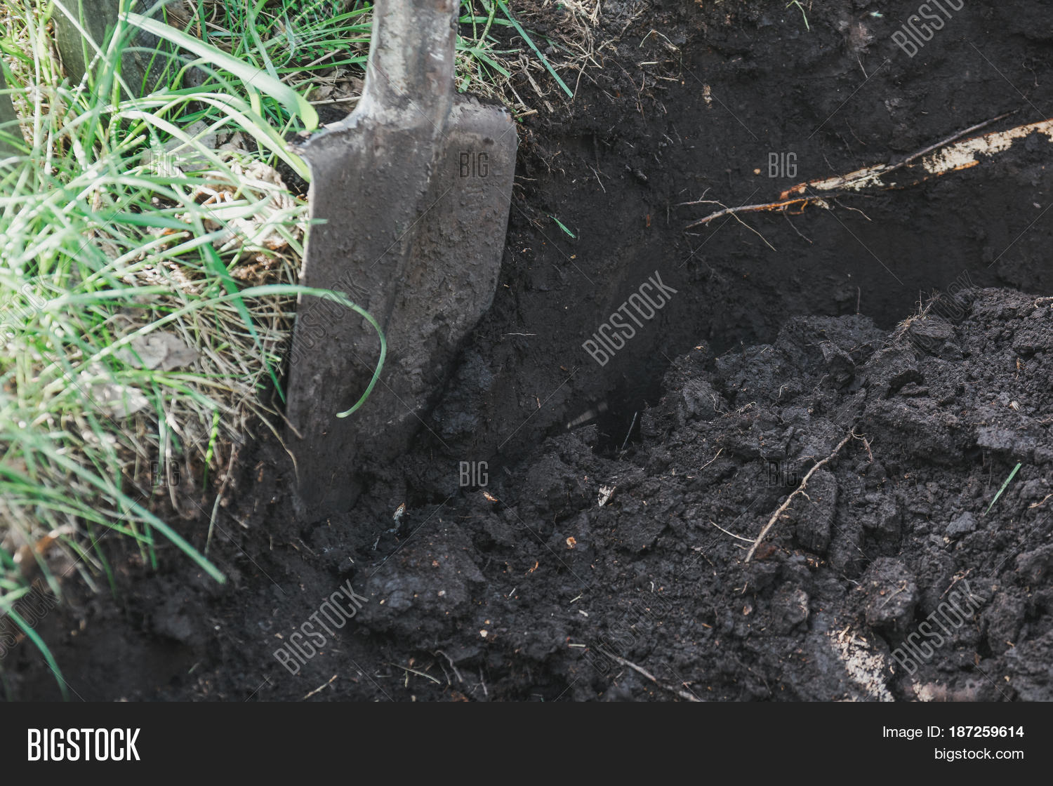 Shovel Hole. Dig Hole Image & Photo (Free Trial) Bigstock