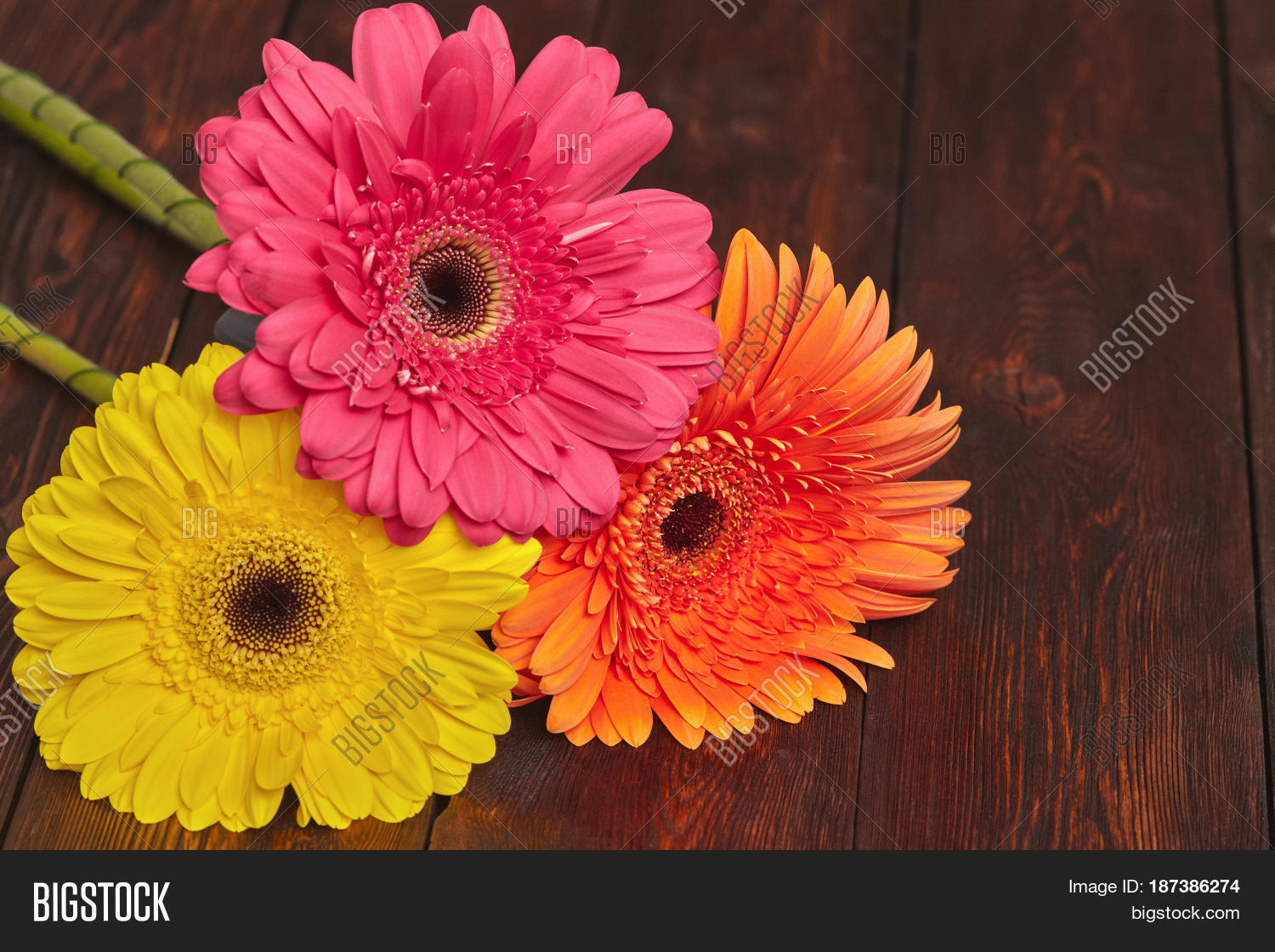 Yellow Orange Pink Image & Photo (Free Trial) Bigstock