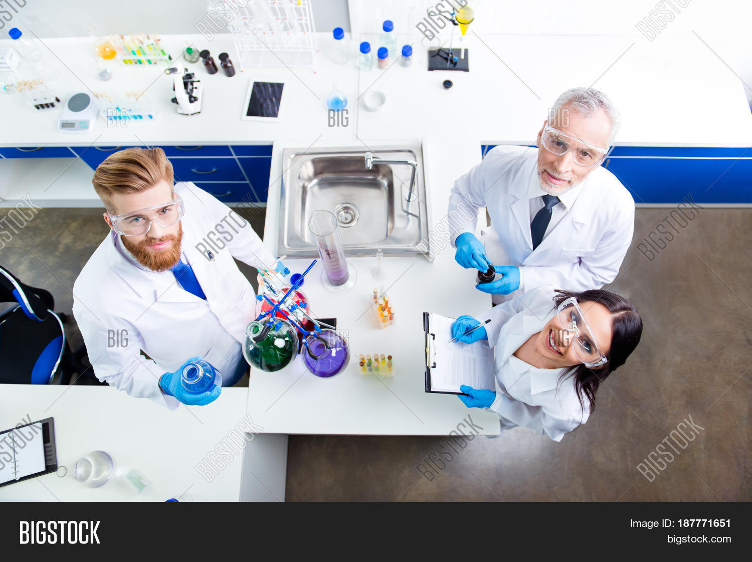 Top Lab Team Three Image & Photo (Free Trial) Bigstock