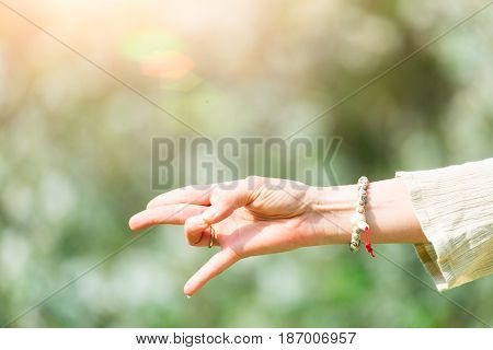 Hand In Yoga Position In Nature