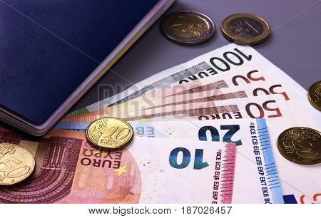 International Ukrainian Passport With Euro Banknotes Isolated On Gray Background.