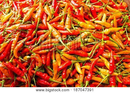 Bunch of red hot peppers on the market