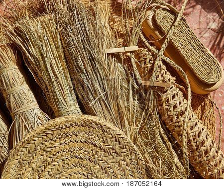 Esparto halfah grass used for crafts as cords basketry and espadrilles