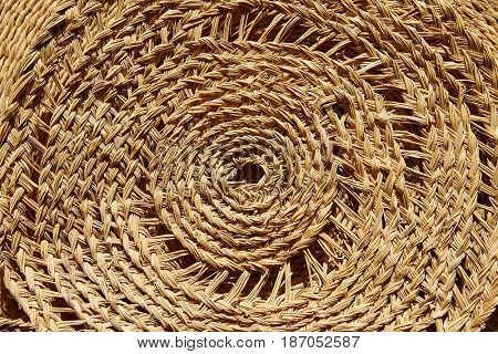 Esparto halfah grass used for crafts as cords basketry and espadrilles