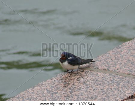 P1010576