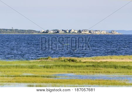 Marsh along Acushnet River outer harbor emptying into Buzzards Bay