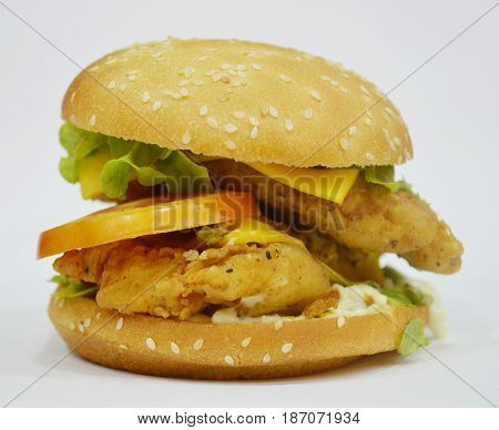 Tasty Chicken Burger on plain background - Can be used for websites, magazine, brochures or flyers