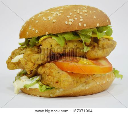 Tasty Chicken Burger on plain background - Can be used for websites, magazine, brochures or flyers